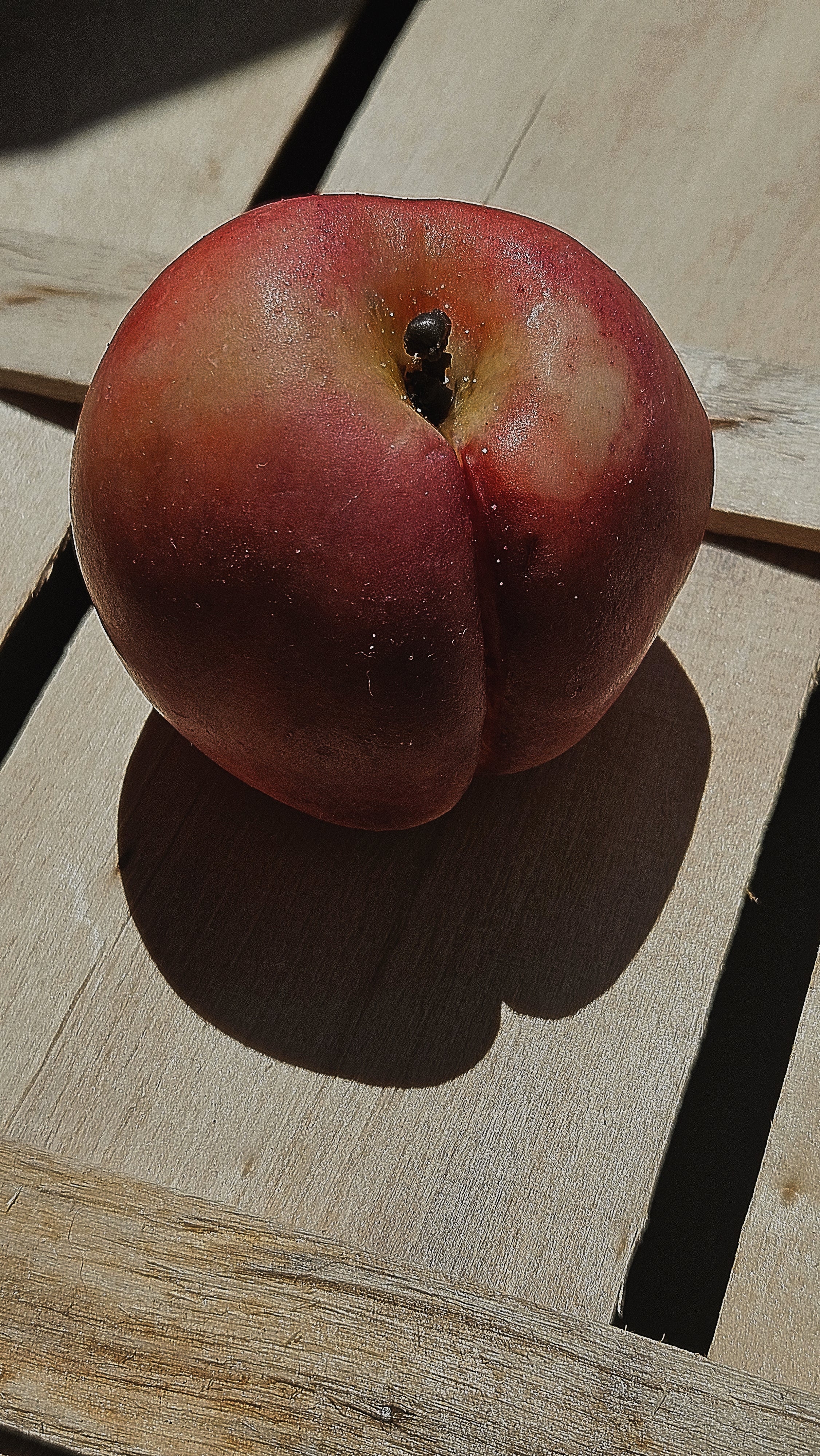 hand-poured round peach candle bathing in sunshine