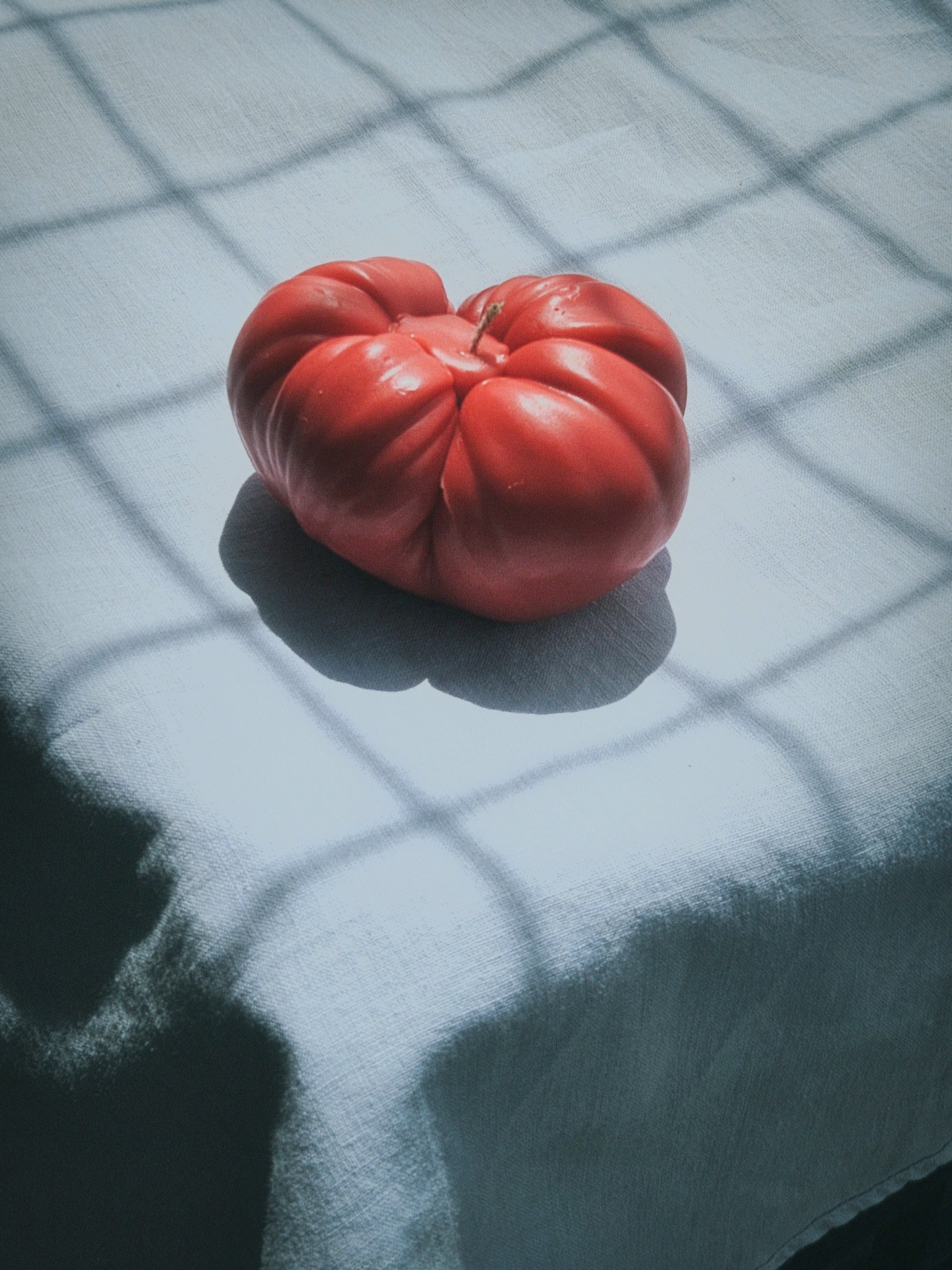 Tomato Tango - medium
