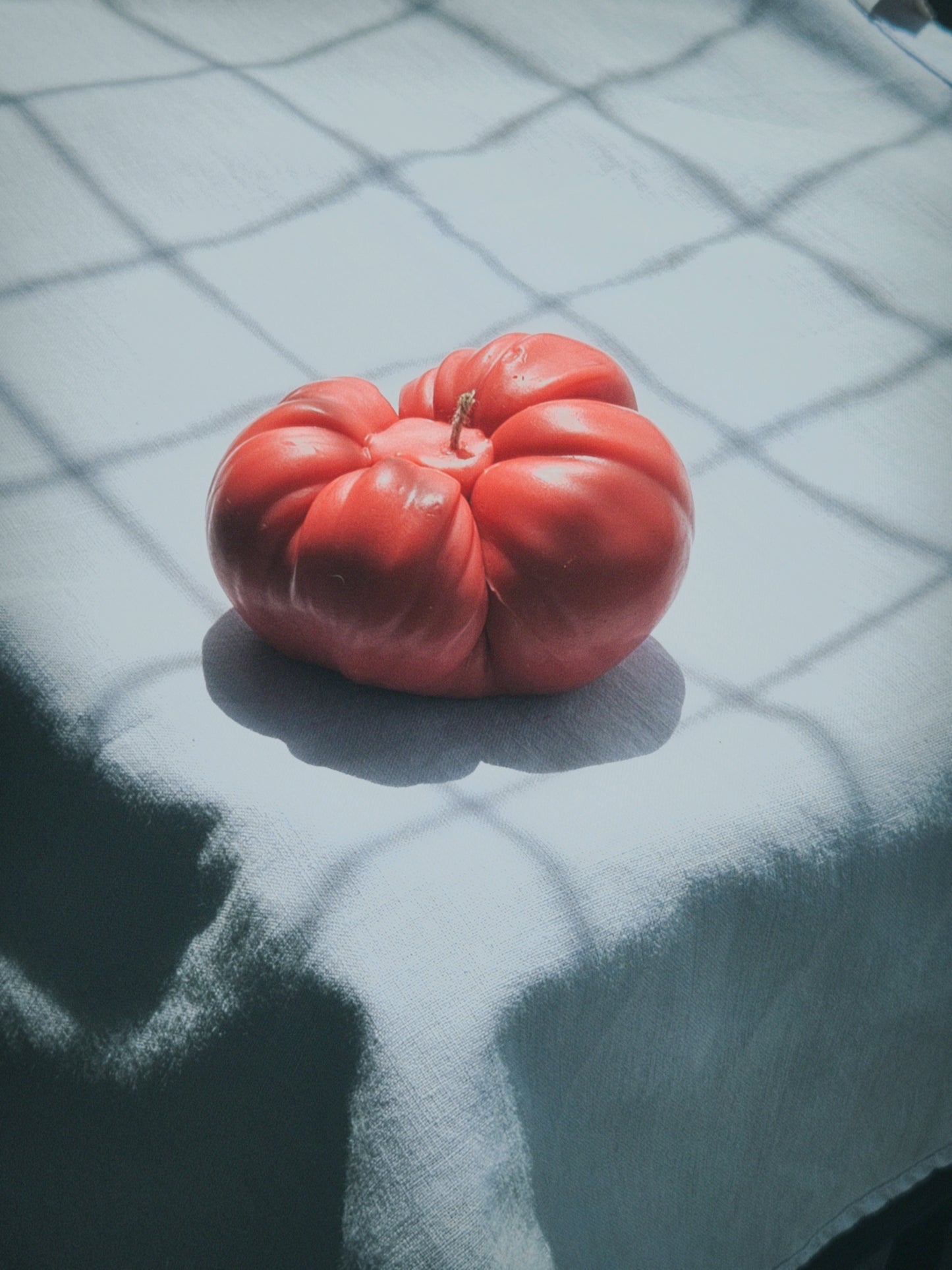 Tomato Tango - medium