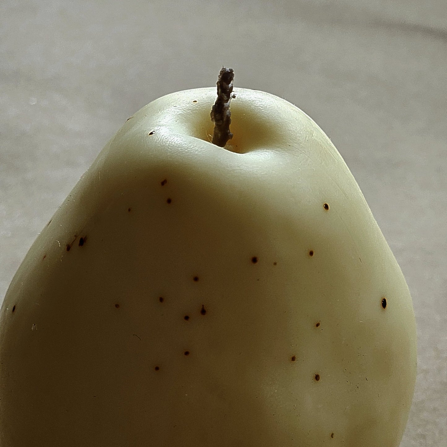 Candied Pear XL - Suki
