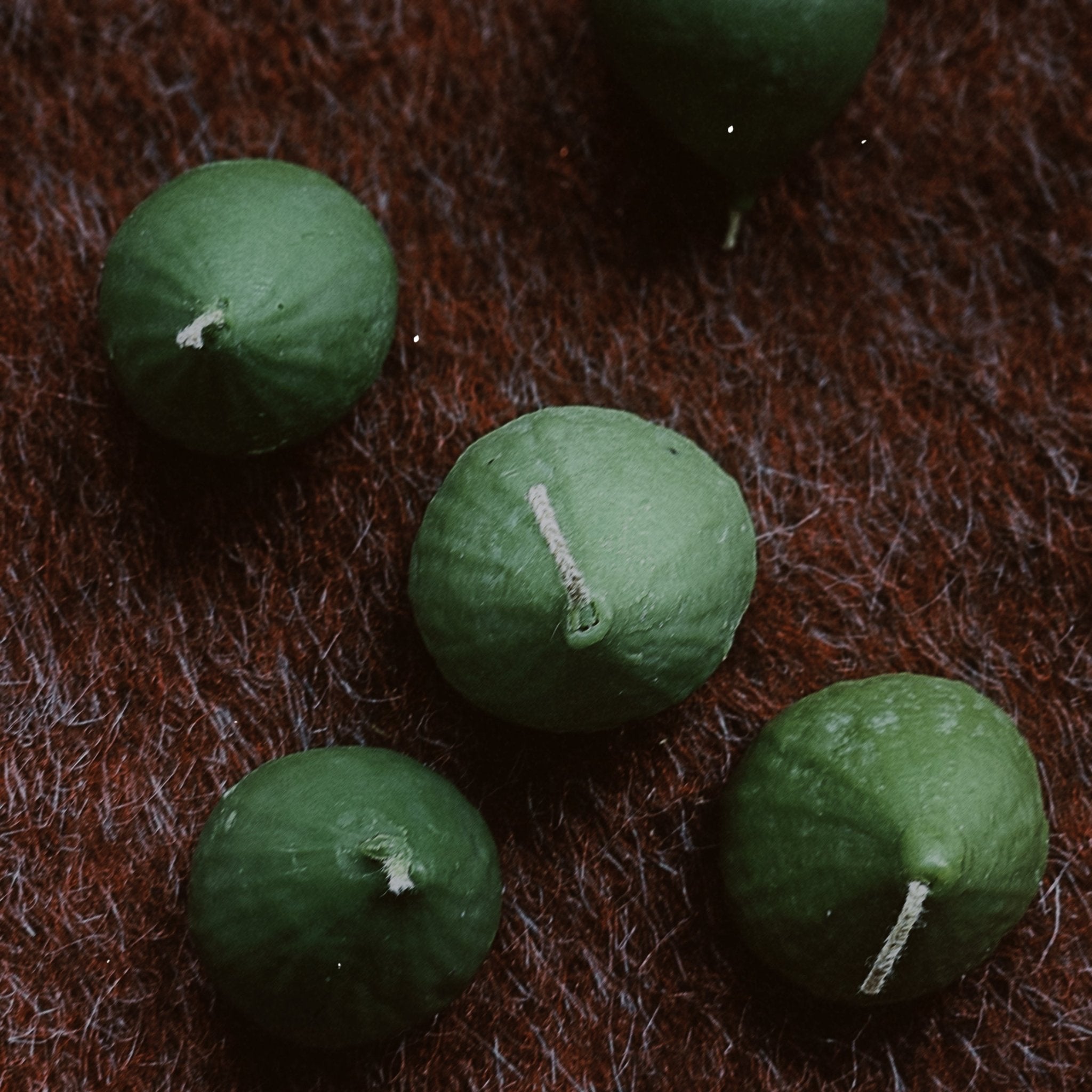 Fig & Tide - mini (set) - SukiSuki